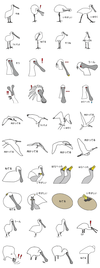 Black faced Spoonbill