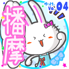 Rabbit's name sticker MY180720N17