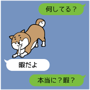Shiba distance stiker