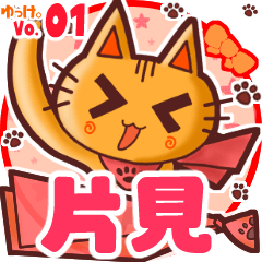Cute cat's name sticker MY180720N19