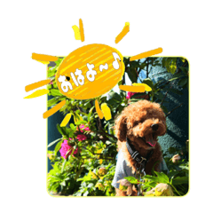 imo white_20200718160343