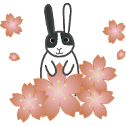 panda_rabbit 3