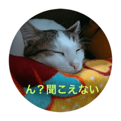 STAR_20200718174646