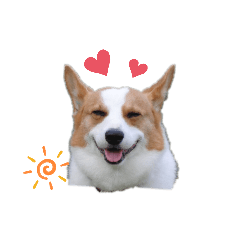 cherry_20200718092959