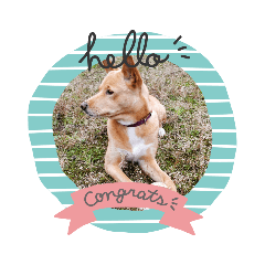 KURUMI_20200718104508