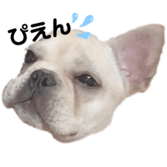omochi_20200719