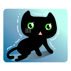黒い猫 ティヨ