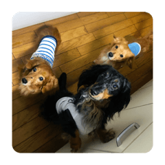 miyuu_20200718151211