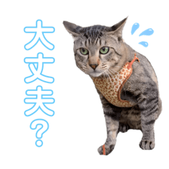 yuukun kawaii