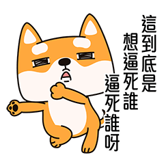 Naughty Shiba Inu (Shiba-Dog)2