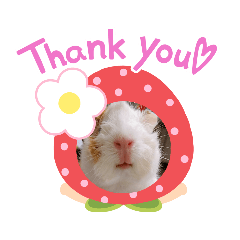 Yurina_20200718155344