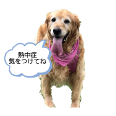 顔見ているだけで幸せ