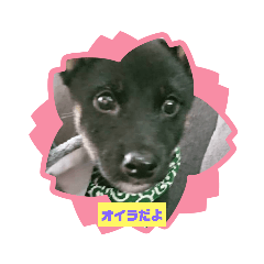 SAORI_20200718200145