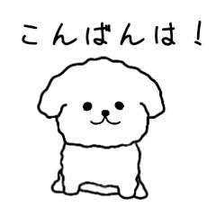 White fluffy toy poodle stamp