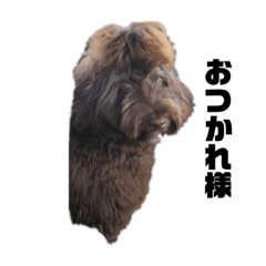 kazumi_20200719122921