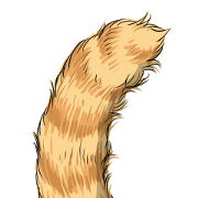 cat's tail.