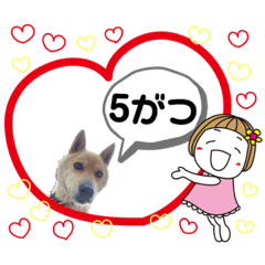 ぽん太くんの1〜12月のスタンプ