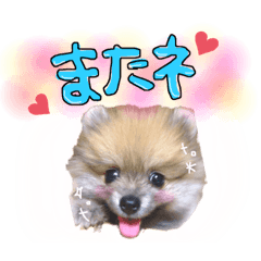 akanen_20200719013514
