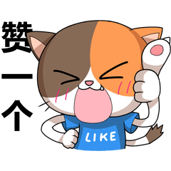 Cat MIREDO