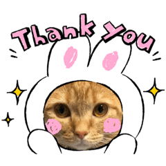 Mizuki_20200719111145