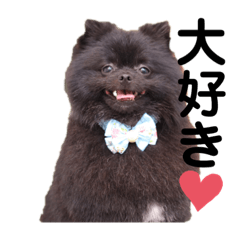 wakasutanpu_20200719163253