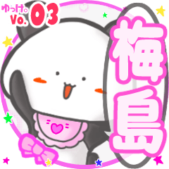 Panda's name sticker MY200720N01