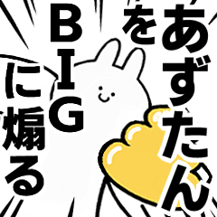 BIG Rabbits feeding [Azu-tan]