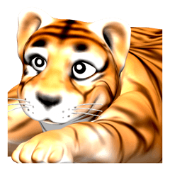 New version : Male Tiger Cub, Torakichi