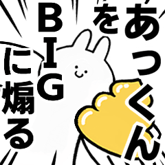 BIG Rabbits feeding [Atu-kun]