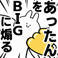 BIG Rabbits feeding [Atu-tan]
