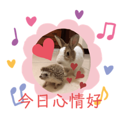 最愛的動物們
