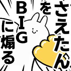 BIG Rabbits feediing [Sae-tan]