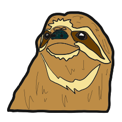 How to use sloths?