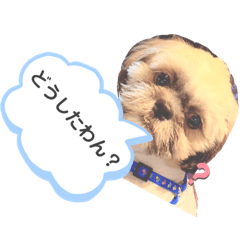 pukuchan..