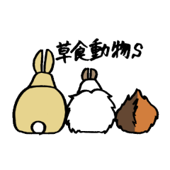 Cavy and rabbit's life