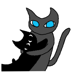 gray cat and black cat - 1st