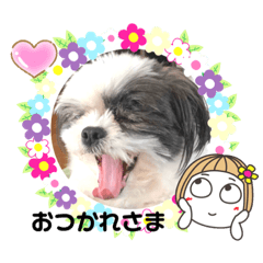 chiitan_20200720141821