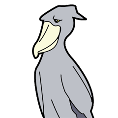 Whale-headed stork[shie]