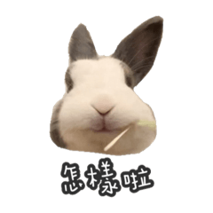 小兔仔的貼圖