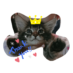 cherry_20200720001958