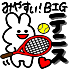 BIG tennis Rabbit