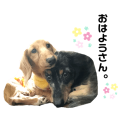 Hana_20200720172518