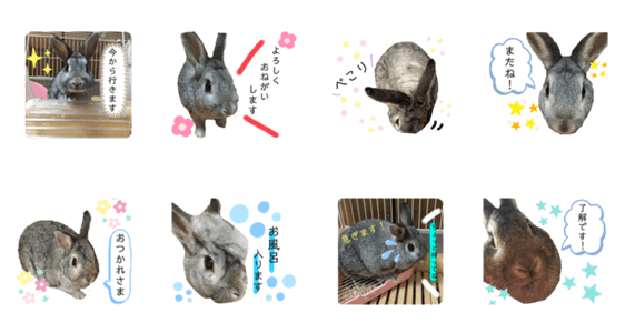 うさぎのcoco Lineクリエイターズスタンプ Stamplist