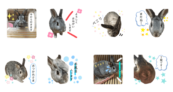 うさぎのcoco Lineクリエイターズスタンプ Stamplist