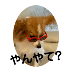 yukari_20200721090125