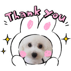 rina_20200721105506