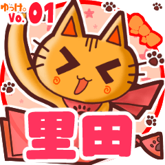 Cute cat's name sticker MY210720N12