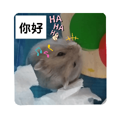 阿Q老闆