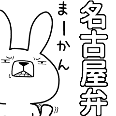 BIG Dialect rabbit [nagoya]