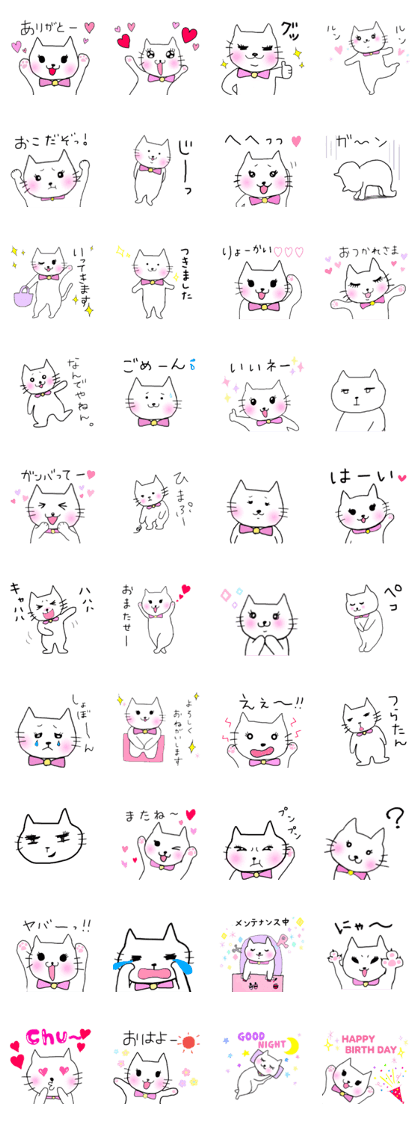Cute cat  ordinary conversation